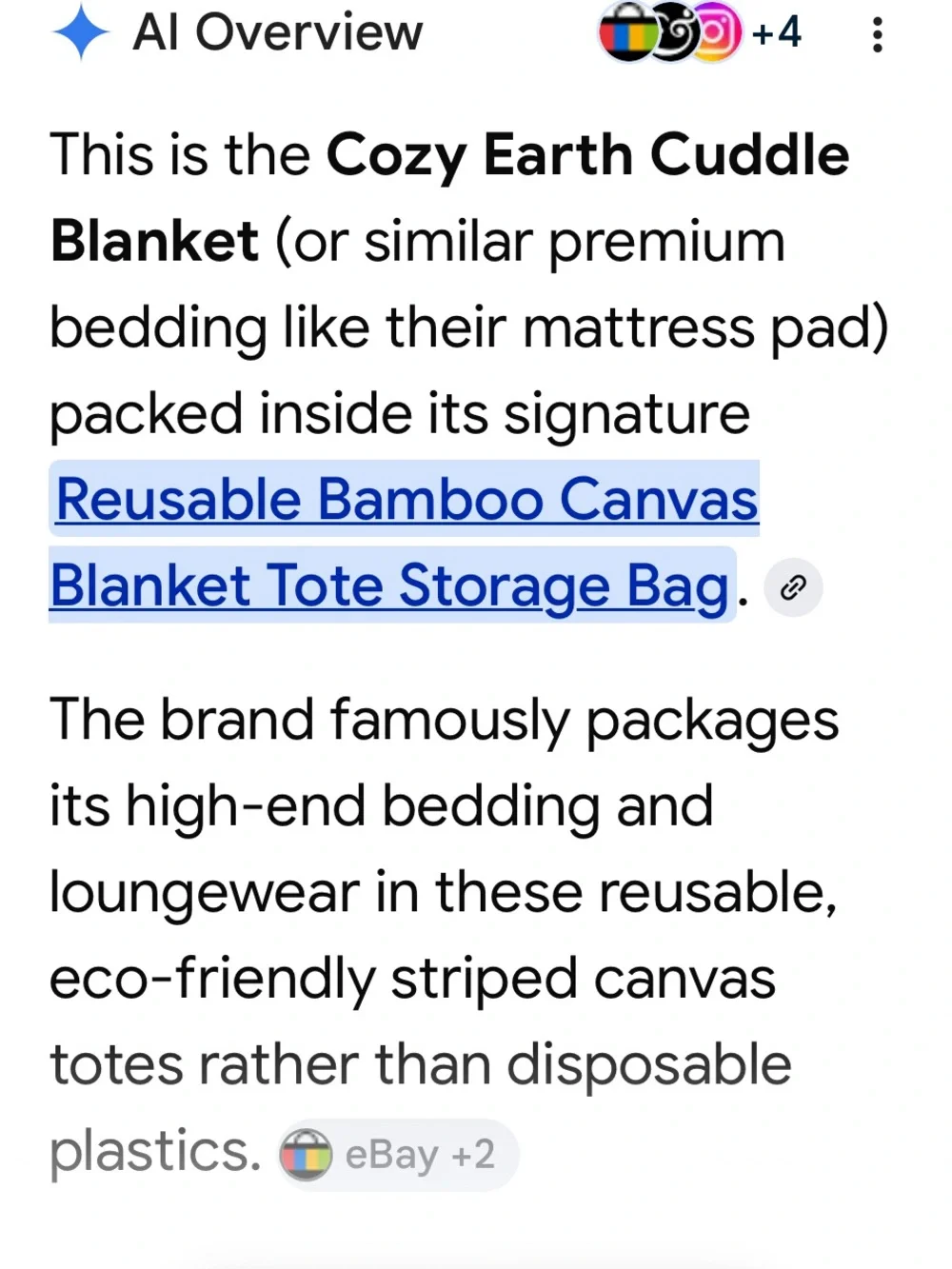 Cozy Earth Gray Bamboo Throw Blanket - 50x60 with canvas bag